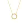 XL1241 Gold