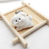 White Puppy