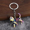 Rainbow Cat