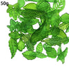 Green Leaf 2