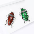 Long Beetle Enamel Brooch in Metallic Green or Red view 3
