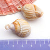 Blue Seashell 14