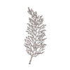 Silver Wheat