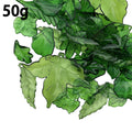 Green Leaf Glossy Charms with 11 Listed Options for DIY Jewelry Making view 5