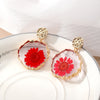 Red Daisy
