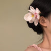 Pink Plumeria