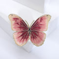 Translucent Enamel Butterfly Brooch in Four Gradient Colors view 7