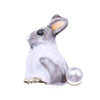 Gray Rabbit