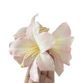 Oversized Lily Flower Hair Claw In Champagne Pink Purple Or Blue view 5