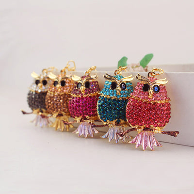 Five rhinestone owl pieces in assorted colors are arranged in a row.