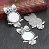 Silver Wide Owl