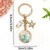 Seahorse Starfish Scene