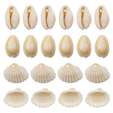 Yellow Seashell Shell Charms with 4 Listed Options
