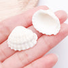White Shell