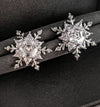 Silver Snowflake