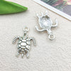 White Turtle 5