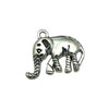 Gray Elephant 7