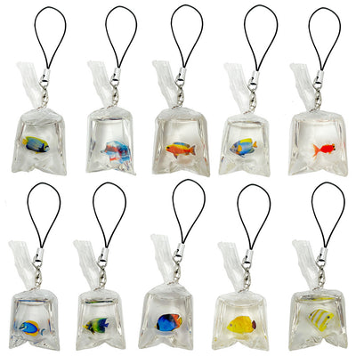 Image 1 showing a set of six clear bags with fish inside.