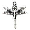 Gray Dragonfly 2