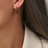 Brown Enamel