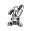 Gray Rabbit 3