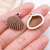 Brown Shell 2