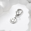 Mini Silver Lobster Clasp Charms Mixed Motifs 13 Styles view 9