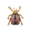 Red Beetle
