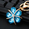 Blue-Star-Petal-Flower