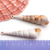 Red Seashell