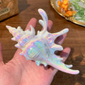 Acrylic Conch Shell Hair Claw Clip Iridescent and White view 6