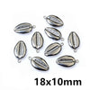 Silver Cowrie