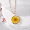 Yellow Daisy