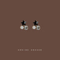 Mini Black Star Glass Crystal Stud Earrings Dual Stones view 1