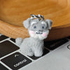 Schnauzer