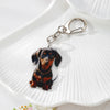 Dachshund