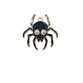 Halloween Skull Spider Charm Pendant Enamel Two Colors view 5