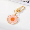 Pale Pink Daisy