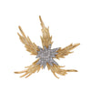 Gold Starfish