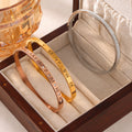 Titanium Steel Hinge Bangles Roman Numerals Pavé Crystal view 2