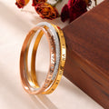 Titanium Steel Hinge Bangles Roman Numerals Pavé Crystal view 3