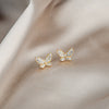 Clear Butterfly
