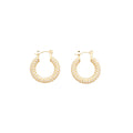 Crystal Pave U Shaped Hoop Earrings in Gold and Silver view 5