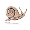 Snail