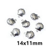 Silver Scallop