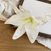 White Lily