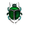 Beetle Two