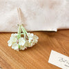 Cream White