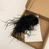 Black Feather Claw