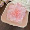 Pink Edge Rose